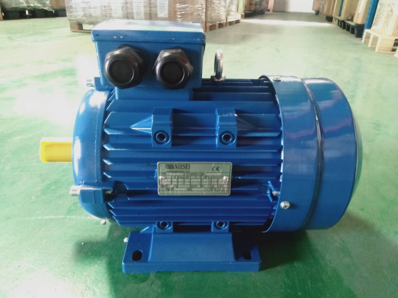 118846.jpg - มอเตอร์ไฟฟ้า (INDUCTION MOTOR) 380V 3PHASE ALUMINUM | https://sandberggear.com