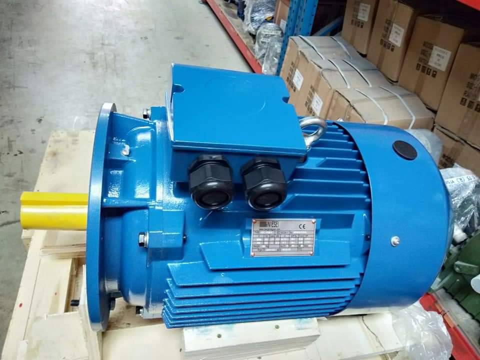 871490.jpg - มอเตอร์ไฟฟ้า (INDUCTION MOTOR) 380V 3PHASE CAST-IRON | https://sandberggear.com