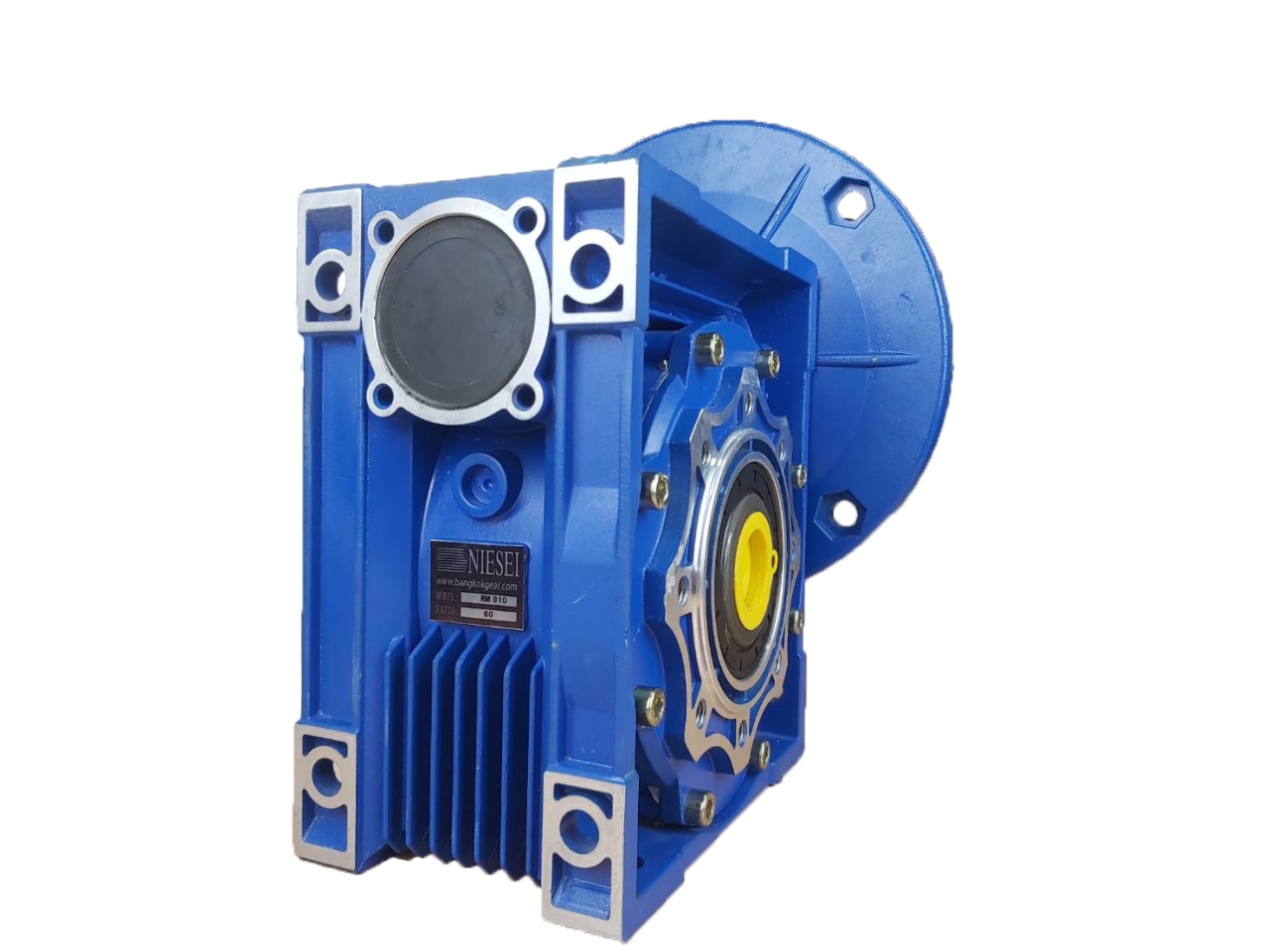 10844.jpg - เกียร์ทดรอบ WORM GEAR SPEED REDUCER MODEL : RM | https://sandberggear.com