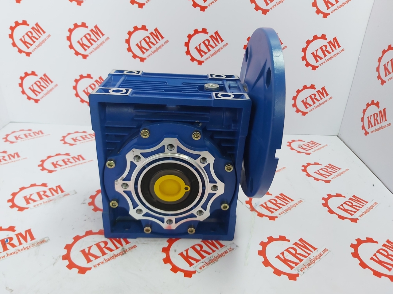 144986.jpg - เกียร์ทดรอบ WORM GEAR SPEED REDUCER MODEL : RM | https://sandberggear.com