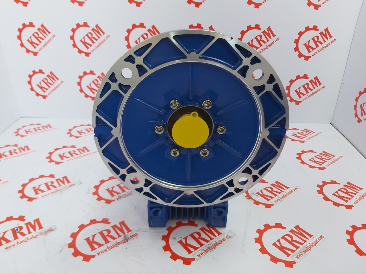 144989.jpg - เกียร์ทดรอบ WORM GEAR SPEED REDUCER MODEL : RM | https://sandberggear.com