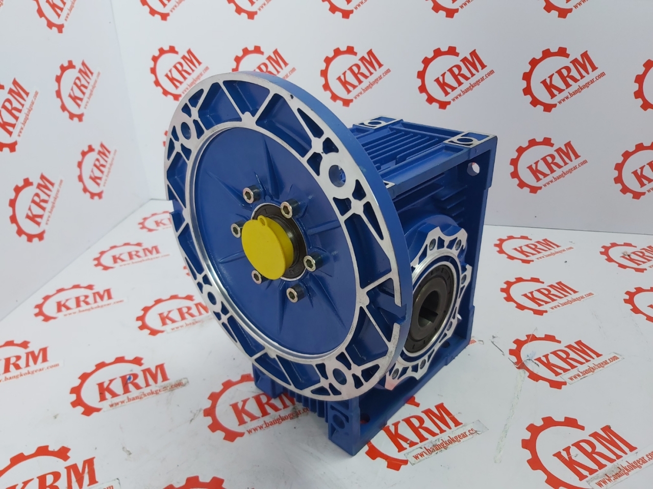 144990.jpg - เกียร์ทดรอบ WORM GEAR SPEED REDUCER MODEL : RM | https://sandberggear.com