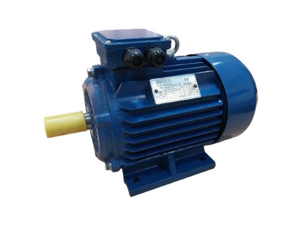 มอเตอร์ไฟฟ้า (INDUCTION MOTOR) 380V 3PHASE CAST-IRON